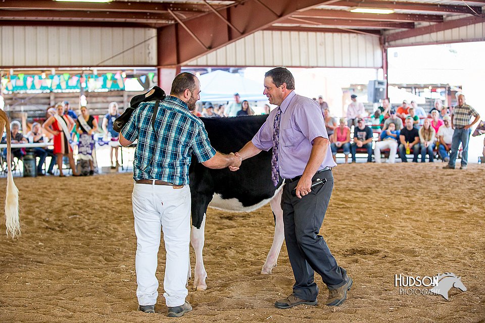 LCFair2016-4581.jpg