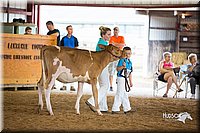 LCFair2016-4130.jpg