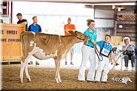 LCFair2016-4131.jpg