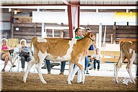 LCFair2016-4132.jpg