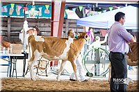 LCFair2016-4133.jpg