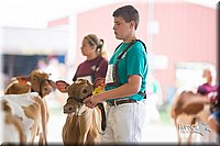 LCFair2016-4134.jpg