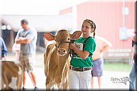 LCFair2016-4135.jpg