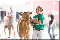 LCFair2016-4136.jpg