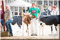 LCFair2016-4137.jpg