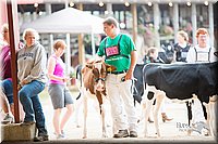 LCFair2016-4138.jpg