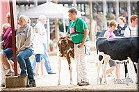 LCFair2016-4139.jpg