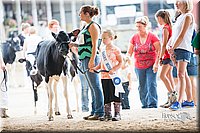 LCFair2016-4140.jpg