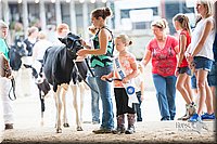 LCFair2016-4141.jpg