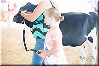 LCFair2016-4143.jpg