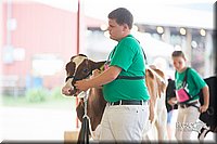 LCFair2016-4144.jpg