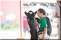 LCFair2016-4145.jpg