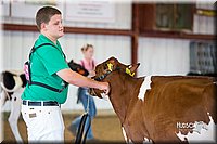 LCFair2016-4148.jpg