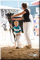 LCFair2016-4149.jpg