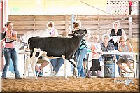 LCFair2016-4155.jpg