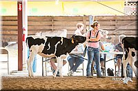 LCFair2016-4157.jpg