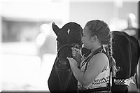 LCFair2016-4158.jpg