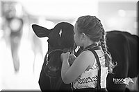 LCFair2016-4160.jpg