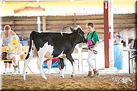 LCFair2016-4161.jpg