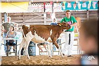 LCFair2016-4162.jpg