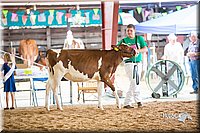 LCFair2016-4163.jpg