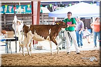 LCFair2016-4164.jpg