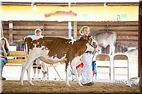 LCFair2016-4165.jpg