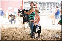 LCFair2016-4166.jpg