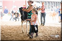 LCFair2016-4167.jpg