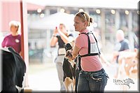 LCFair2016-4169.jpg