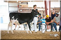 LCFair2016-4172.jpg