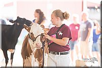 LCFair2016-4175.jpg