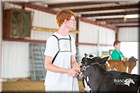 LCFair2016-4177.jpg