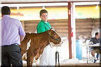 LCFair2016-4178.jpg