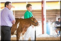 LCFair2016-4179.jpg