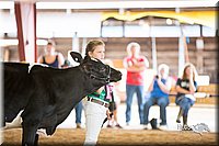 LCFair2016-4180.jpg