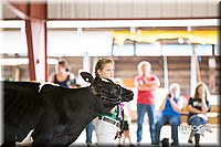 LCFair2016-4181.jpg