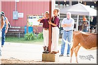 LCFair2016-4183.jpg