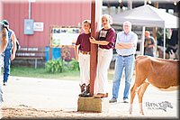 LCFair2016-4184.jpg