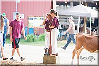 LCFair2016-4186.jpg