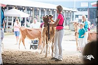 LCFair2016-4188.jpg