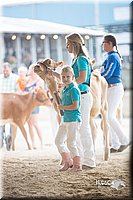 LCFair2016-4189.jpg