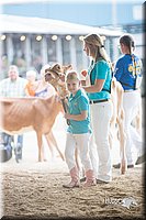 LCFair2016-4190.jpg