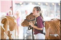 LCFair2016-4191.jpg