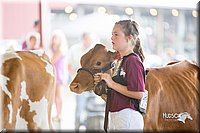 LCFair2016-4192.jpg