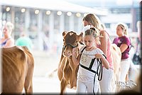 LCFair2016-4194.jpg