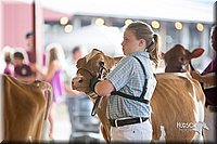 LCFair2016-4196.jpg