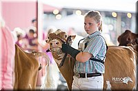 LCFair2016-4197.jpg