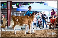 LCFair2016-4198.jpg