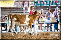 LCFair2016-4199.jpg